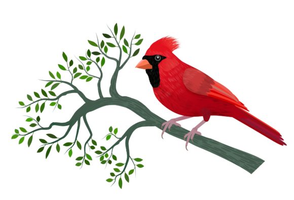 Christmas Cards Illustrations for Local Business Branding