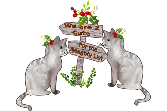 Cute Christmas Cats Embroidery Design Review