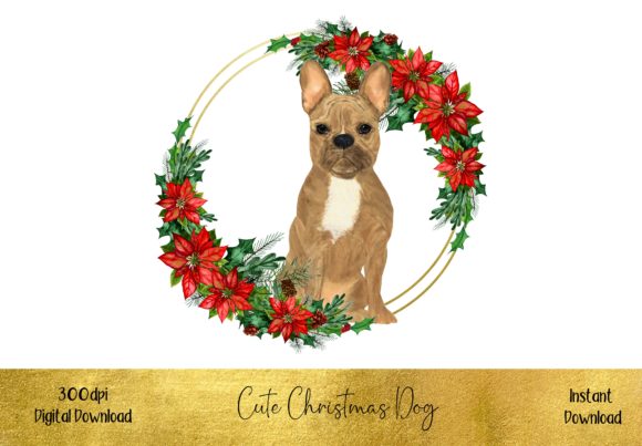 Cute Christmas French Bulldog Illustration Review