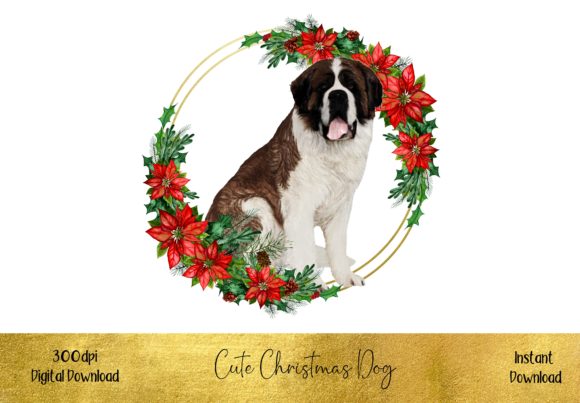 Cute Christmas Saint Bernard Illustration